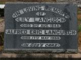 image of grave number 859795